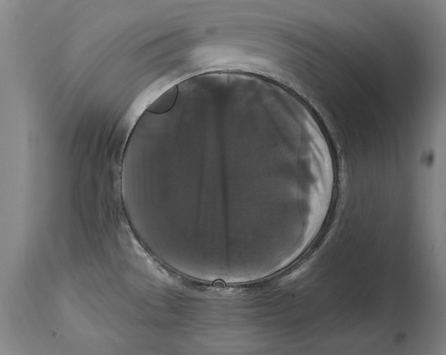 X0000114621529200911171046