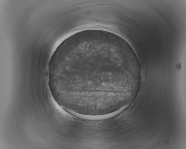 X0000114621531200911171046