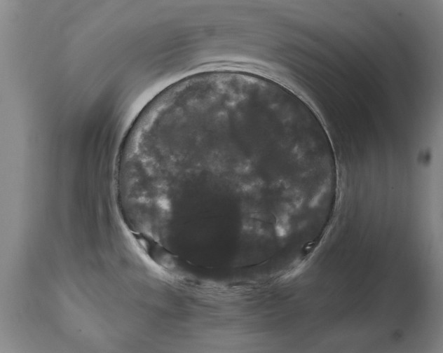 X0000114621533200911171046