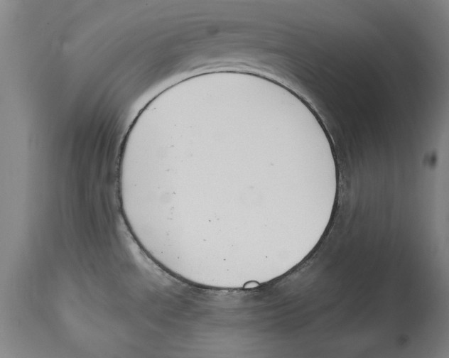 X0000114621534200911171046