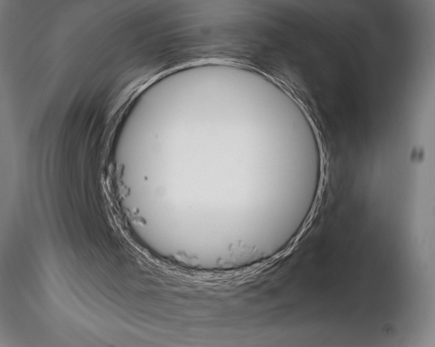 X0000114620001200912011012