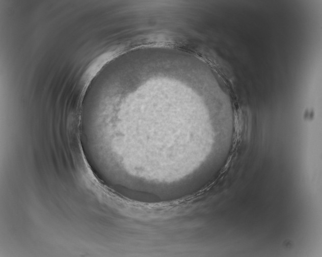 X0000114620003200912011012