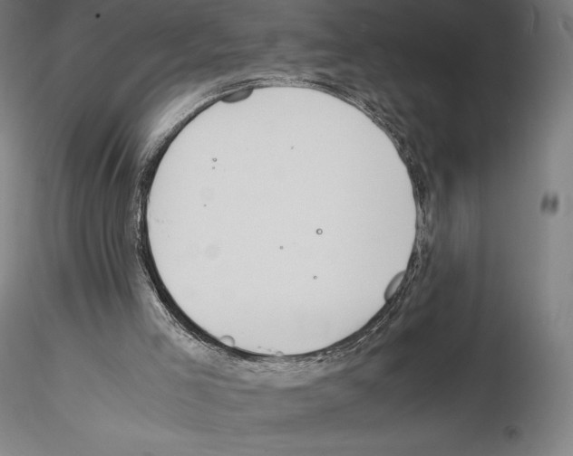 X0000114620005200912011012