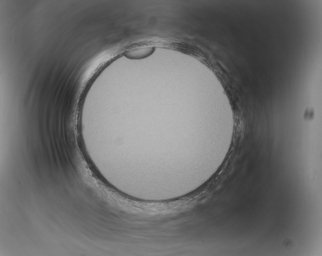 X0000114620006200912011012