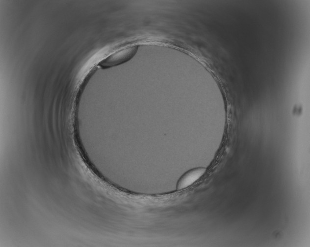 X0000114620007200912011012