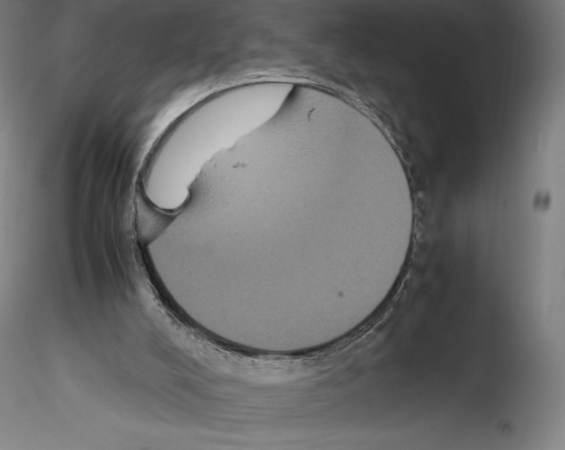 X0000114620008200912011012