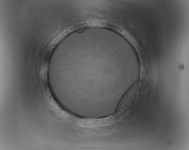 X0000114620009200912011012