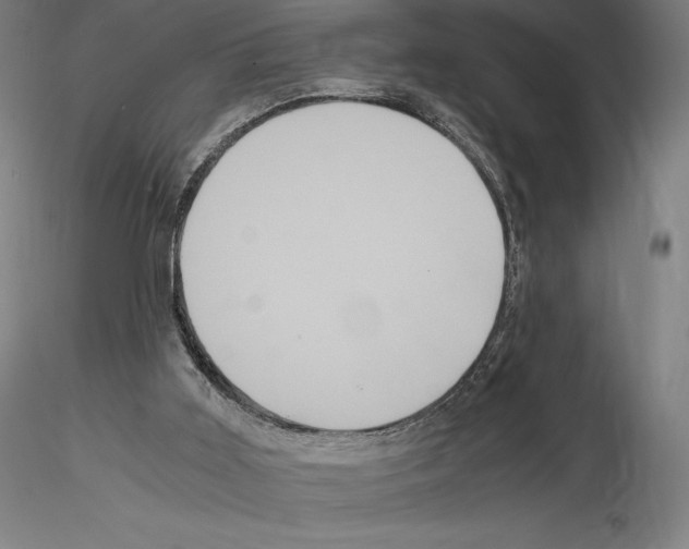 X0000114620011200912011012