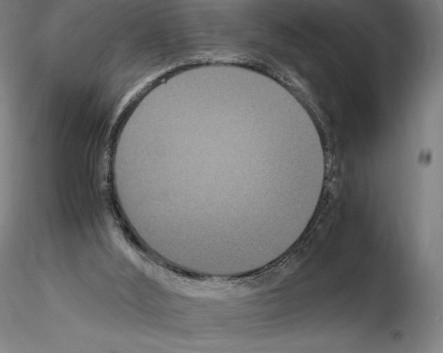 X0000114620012200912011012