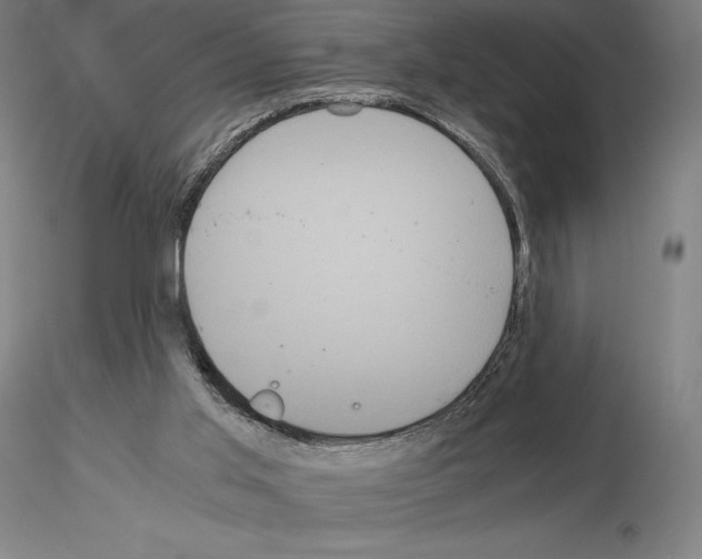 X0000114620013200912011012