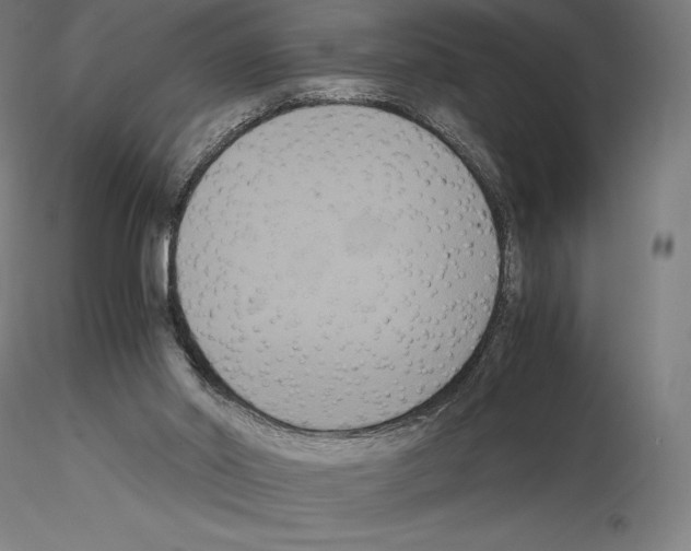 X0000114620014200912011012