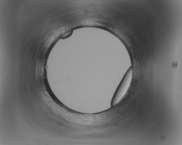 X0000114620015200912011012