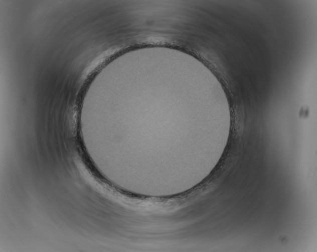 X0000114620016200912011012