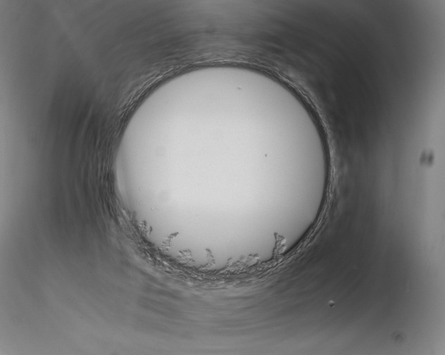 X0000114620017200912011012