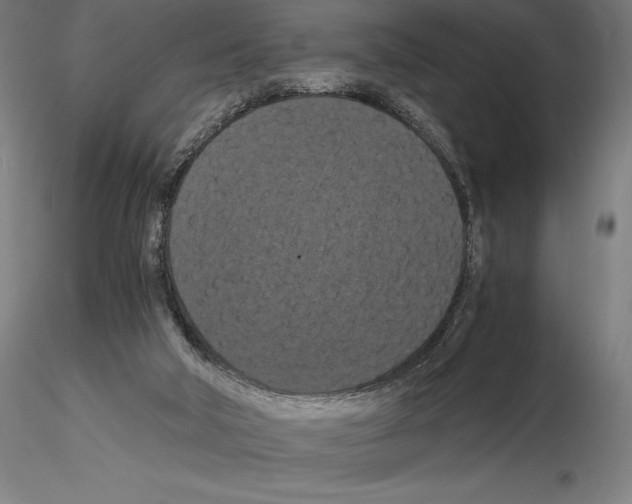 X0000114620018200912011012