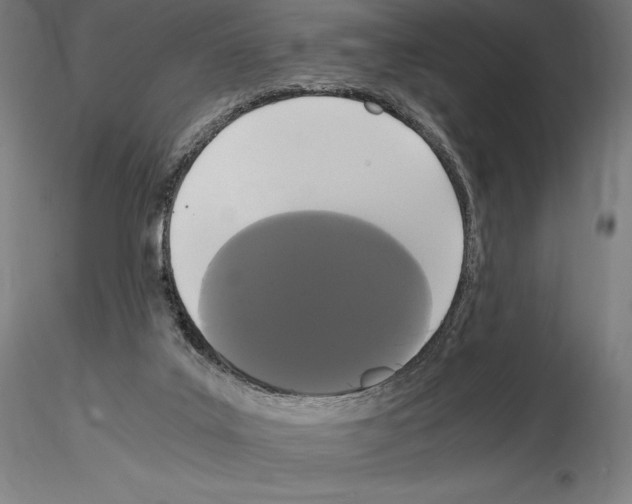 X0000114620019200912011012