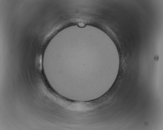 X0000114620020200912011012