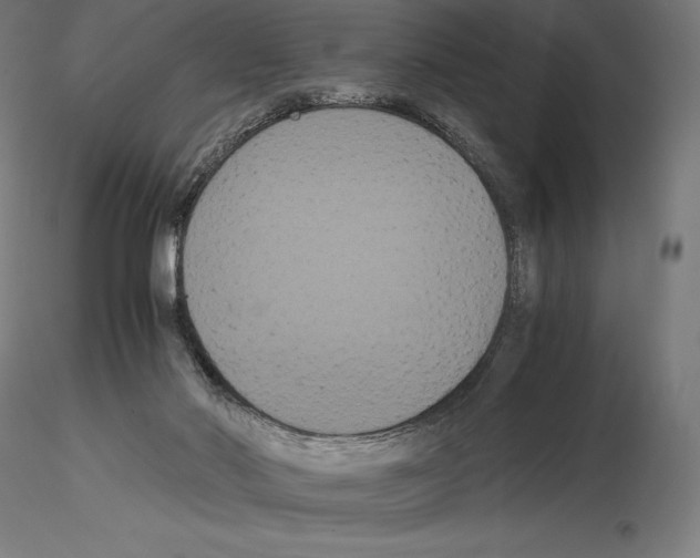 X0000114620022200912011012