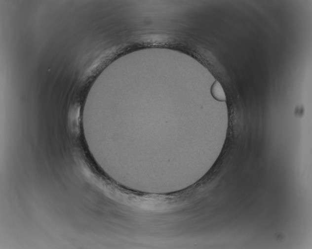 X0000114620024200912011012