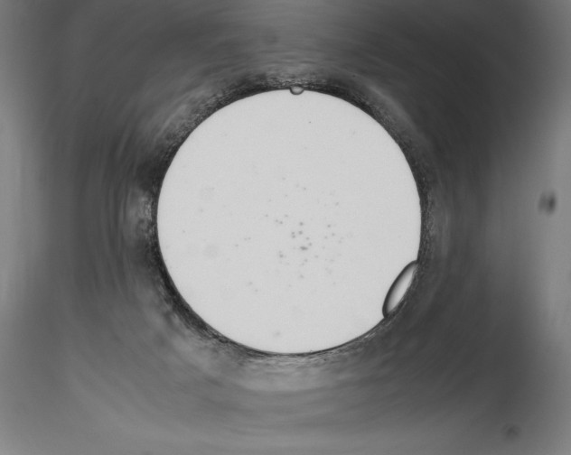 X0000114620025200912011012