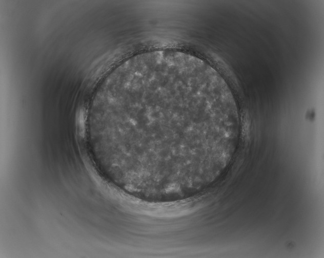 X0000114620026200912011012