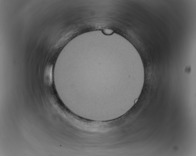 X0000114620028200912011012