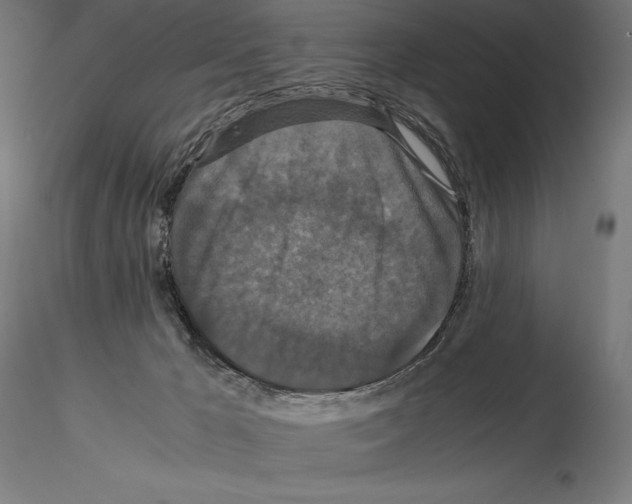 X0000114620029200912011012