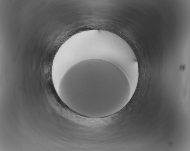 X0000114620031200912011012