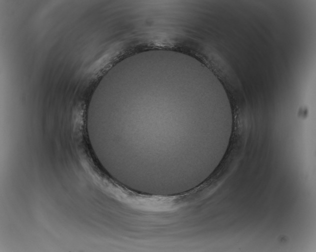 X0000114620032200912011012