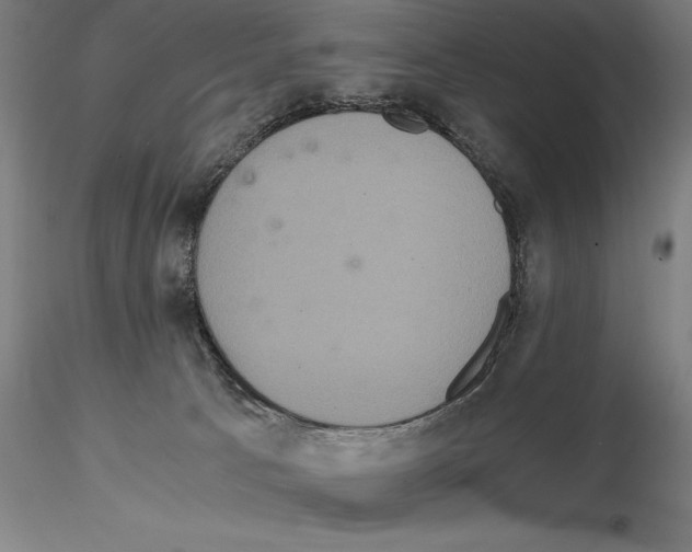 X0000114620033200912011012