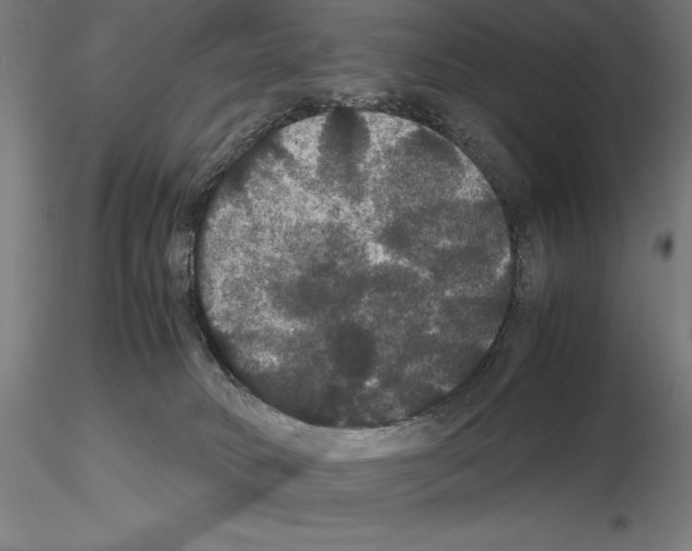 X0000114620034200912011012