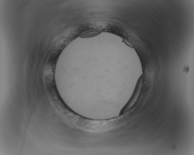 X0000114620037200912011012