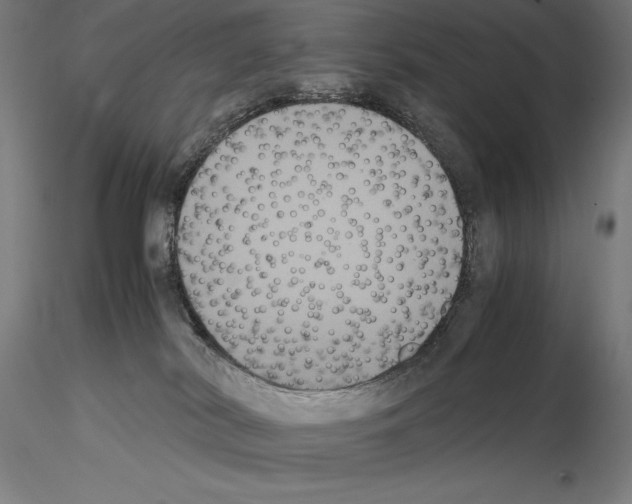 X0000114620038200912011012