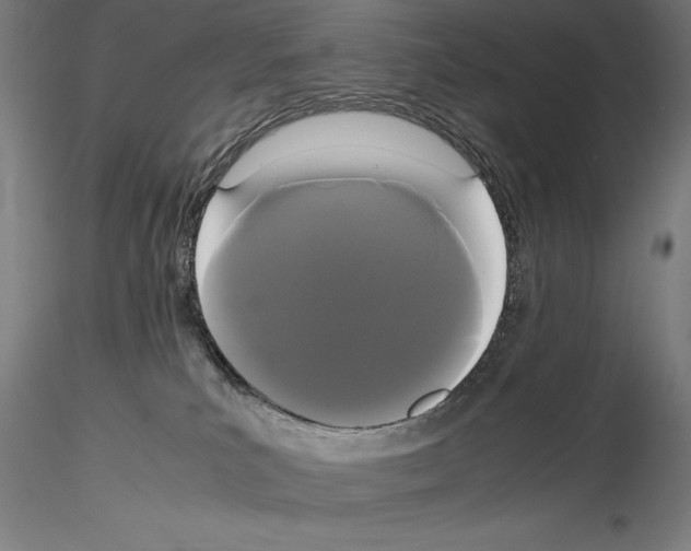 X0000114620039200912011011