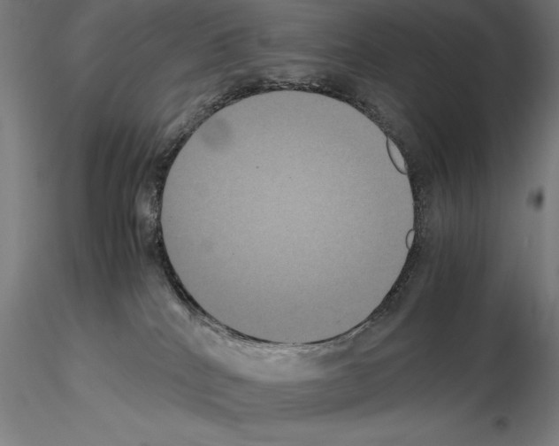 X0000114620040200912011011