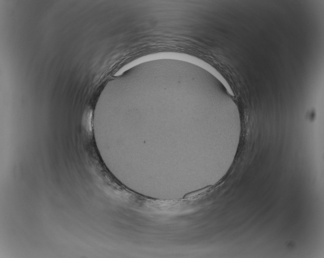 X0000114620041200912011011