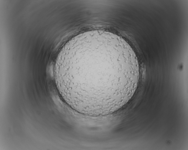 X0000114620042200912011011