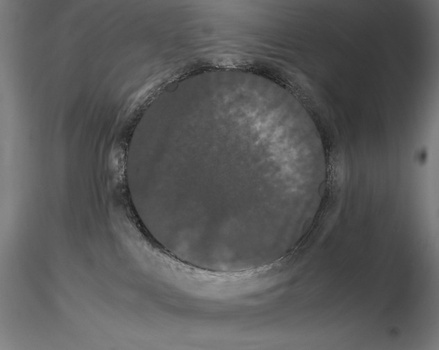 X0000114620043200912011011