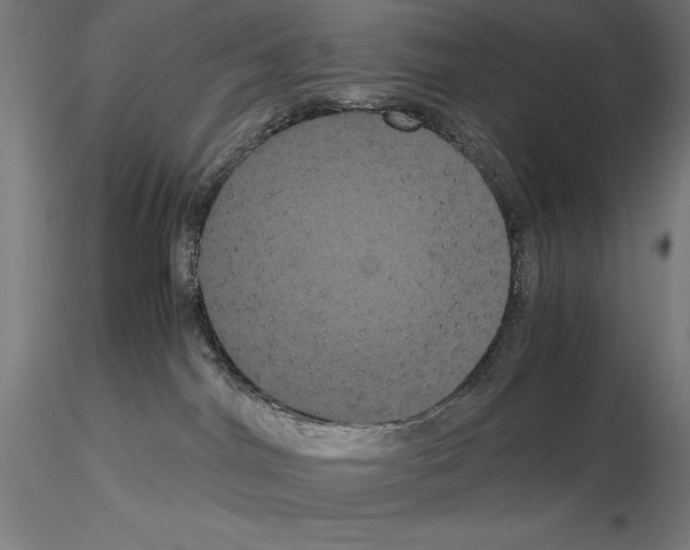 X0000114620044200912011011