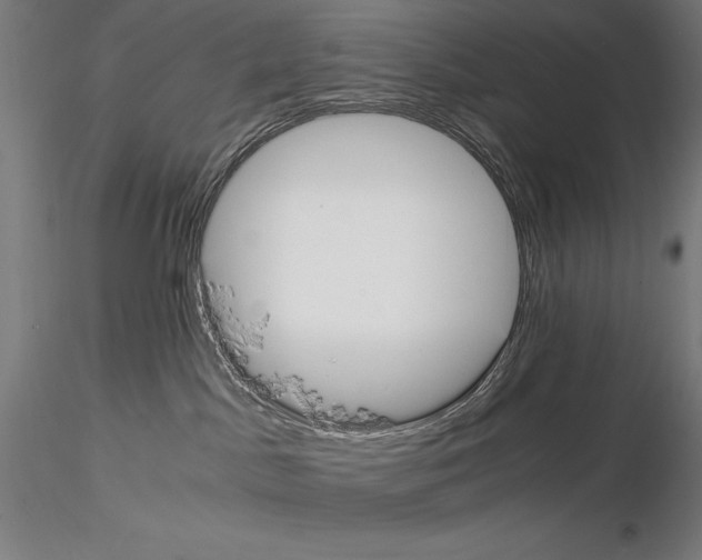 X0000114620045200912011011