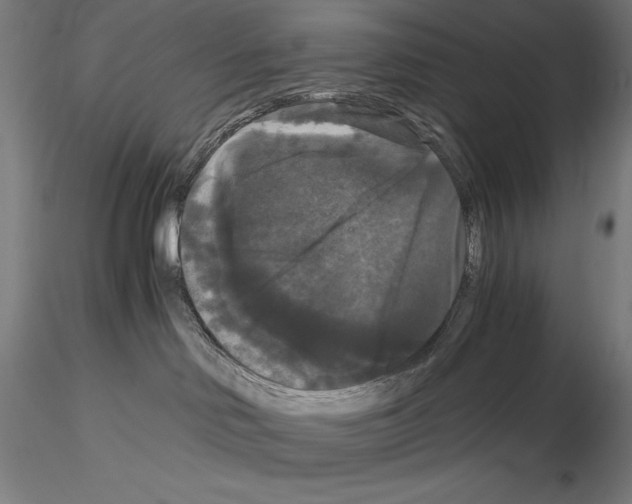 X0000114620046200912011011