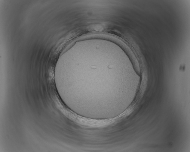 X0000114620048200912011011