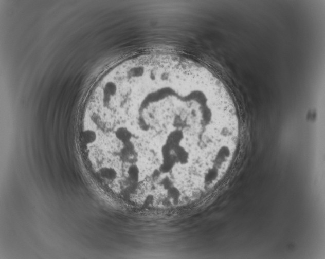 X0000114620049200912011011