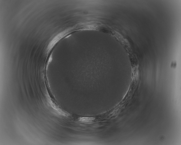 X0000114620051200912011011