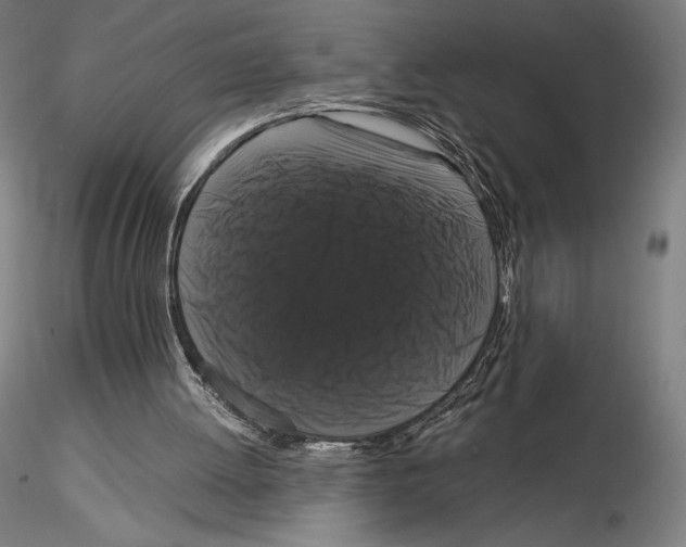 X0000114620052200912011011