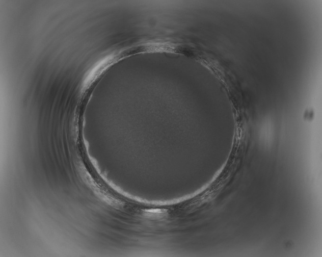 X0000114620053200912011011