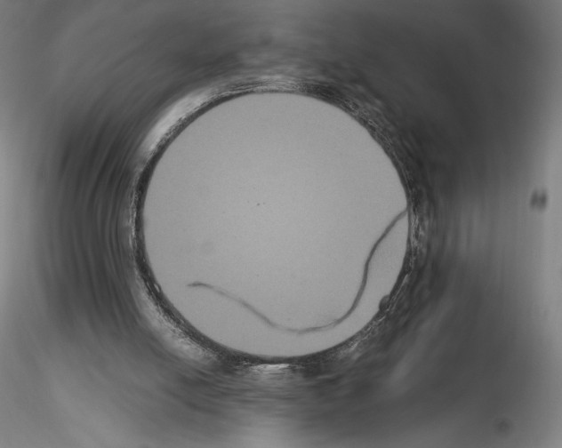 X0000114620054200912011011