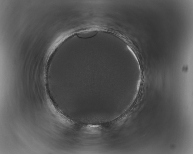 X0000114620055200912011011