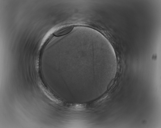 X0000114620056200912011011