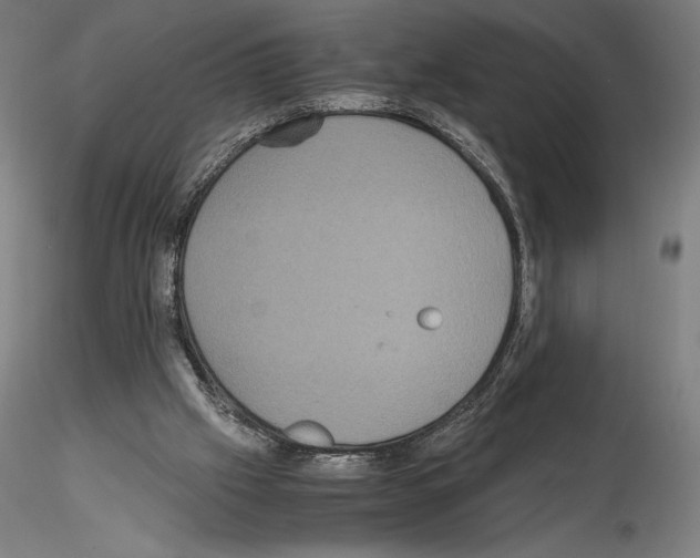 X0000114620057200912011011